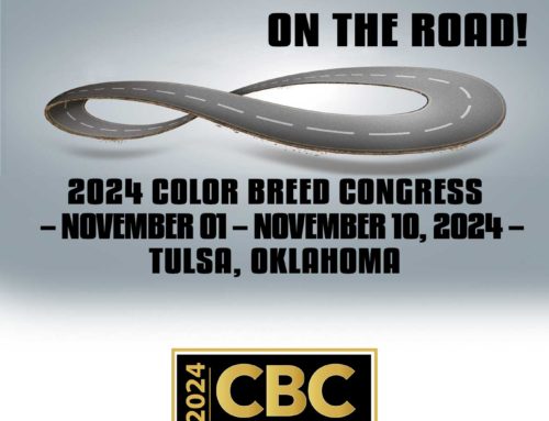 2024 Pinto Color Breed Congress