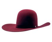 Rodeo King Merlot Open