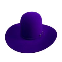 7X Rodeo King Purple – Shorty's Caboy Hattery