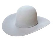 Rodeo King Silverbelly